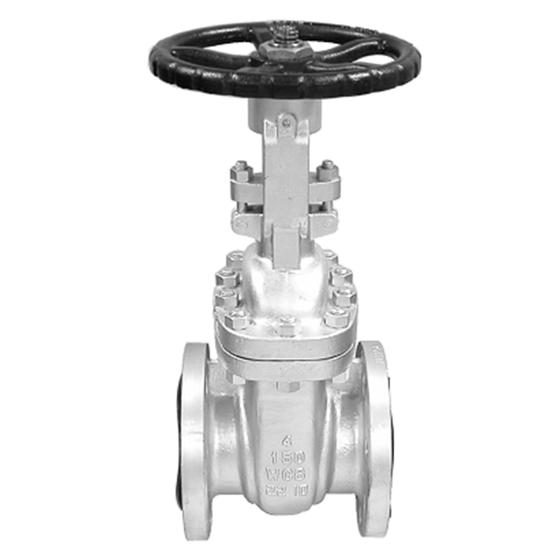 SS GATE VALVE FLANGED END